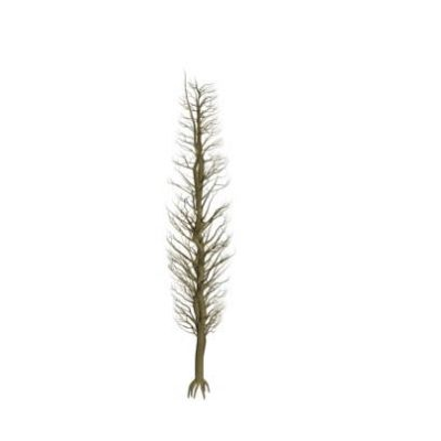 Arbol frutal manzano 01 en