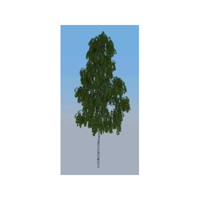 3d tree