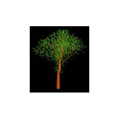 3d tree 009
