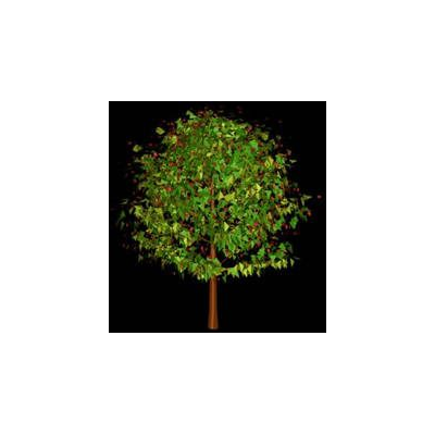 Arbol en 3d 012
