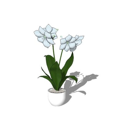 Flores 3d de alta definicion con textura