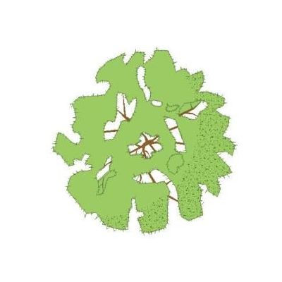 Arbol