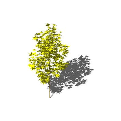 arbol Otonal en 3D