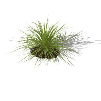 Plantas para jardines 3d - arbusto