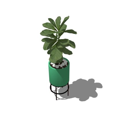 Plantas decorativas de interior texturizadas