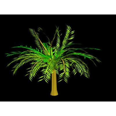 arboles palmera  3d