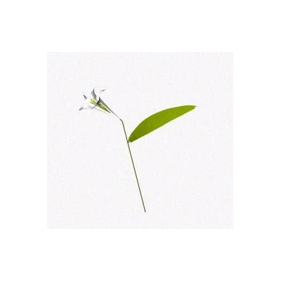 3D Stylized Flower