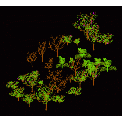 Arboles 3d