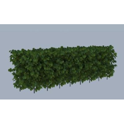 Arbusto 3d