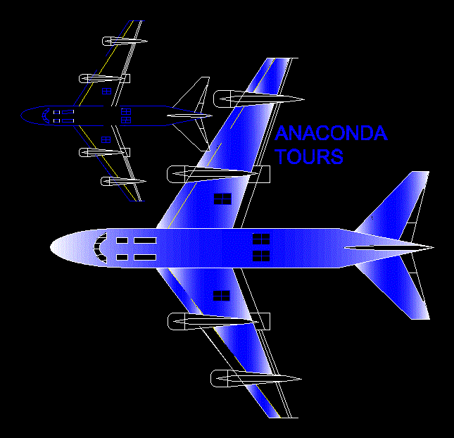 Airplane plan view