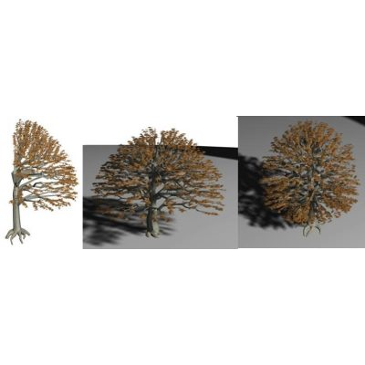 3d trees