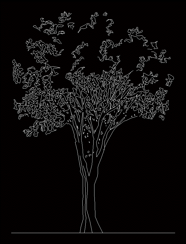 árvore à vista