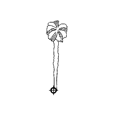 Elegante Silueta de Palmera