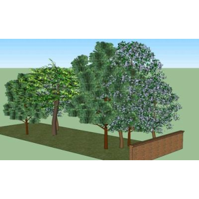 3d trees