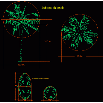 Bloques de 2 especies nativas