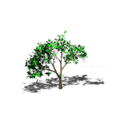 Arbol pequeno en 3d