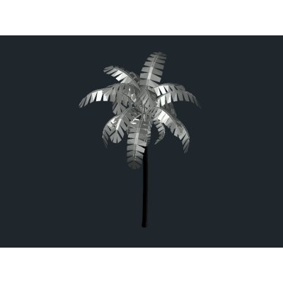 Palmera 3d
