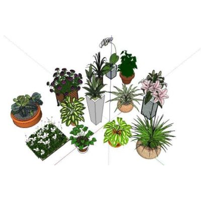 Plantas 3d