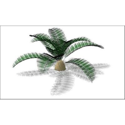 Arbol palmera