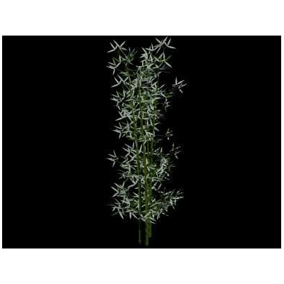 Planta bambu - autocad