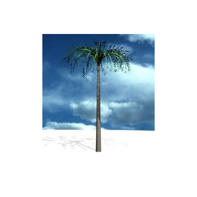 Palm tree