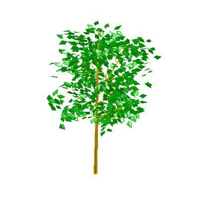Elegante arbol Frondoso 3D