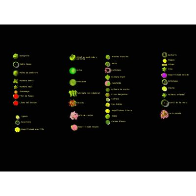 Arboles de diferentes colores