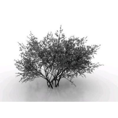 3d tree
