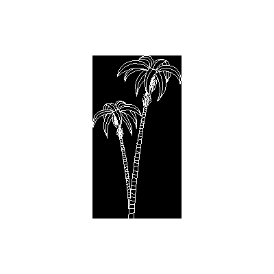 Palmera en alzado