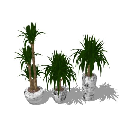 Plantas decorativas de interior texturizadas