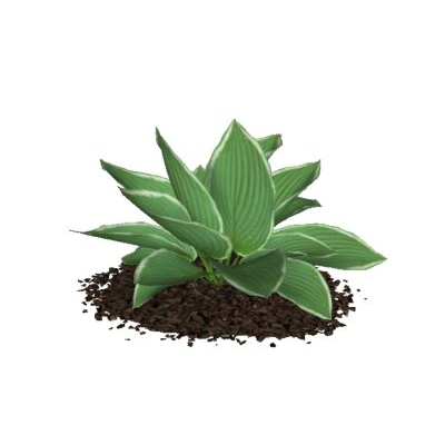Plantas para jardines 3d de alta definicion