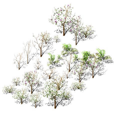various trees 3d