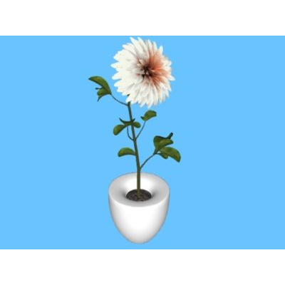 Plantas interiores 3d de alta definicion