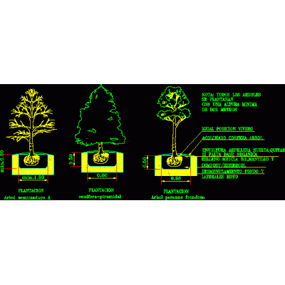 Plantacion de arboles