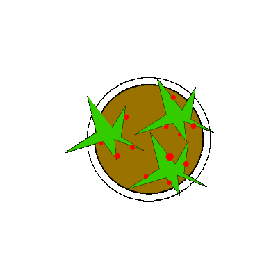 Maceta Con Planta Acebo. Vista En Planta