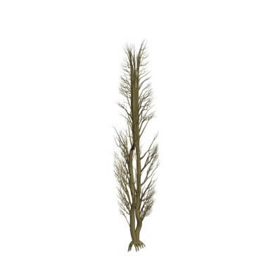 Arbol frutal manzano 01 en