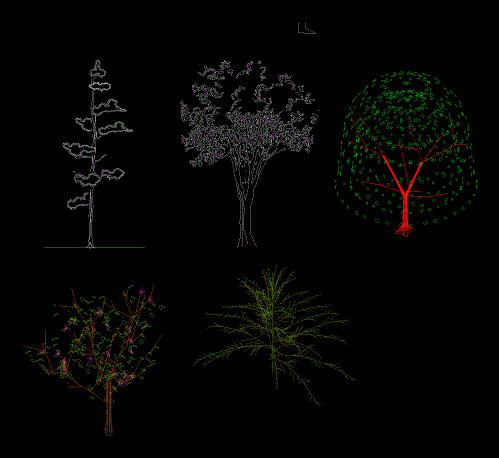 3D Bäume