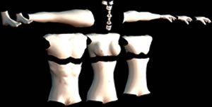 3D menschliche Teile