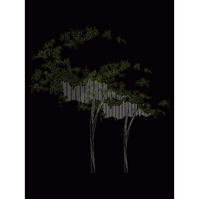 Arbol