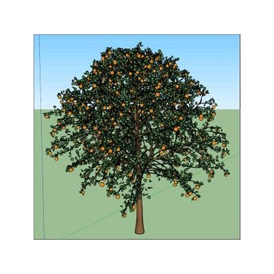 Arbol de naranjo 3d