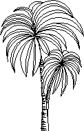 2d palm tree
