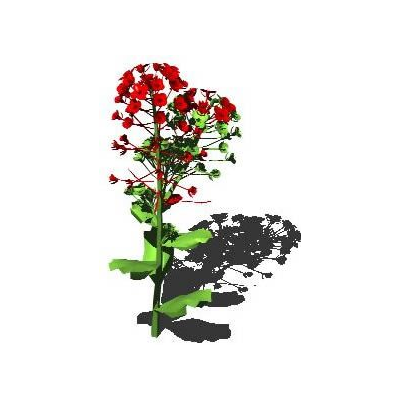 Flor 3d