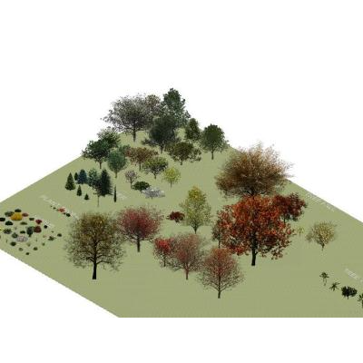 rvt vegetation