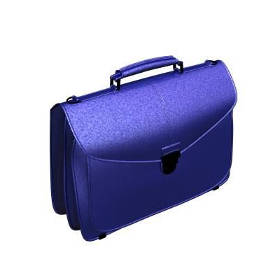 Portafolios Ejecutivo 3D