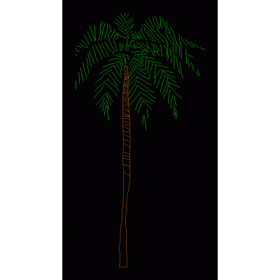 Elegante Palmera en Alzado