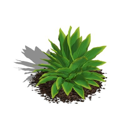 Plantas para jardines 3d de alta definicion