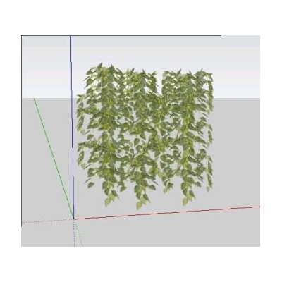 Planta de vinos