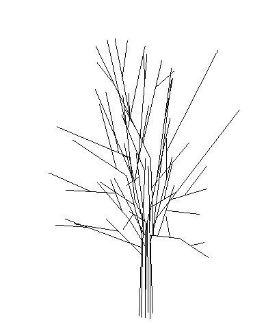árvore rfa 3d