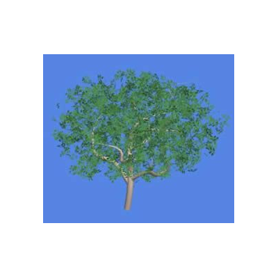 Arbol de manzana 3d