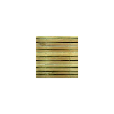 Bambu
